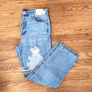 Aeropostale 90s Baggy Jean